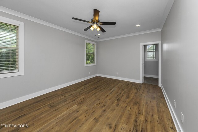 533 Greystoke Ln, Knoxville, TN 37912 - photo 15