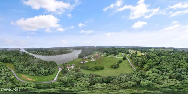 404 Quiet River Ln, Loudon, TN 37774 - photo 4