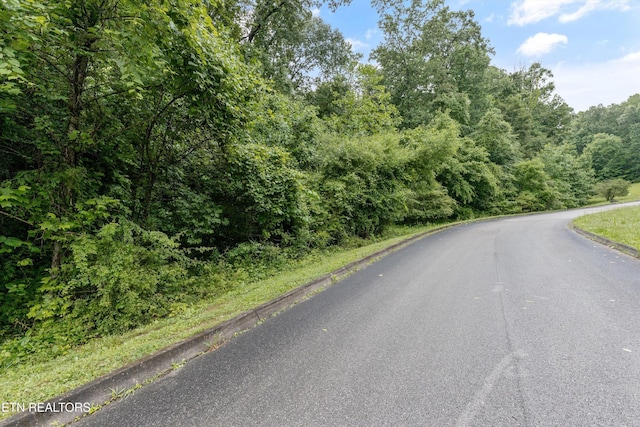 404 Quiet River Ln, Loudon, TN 37774 - photo 5