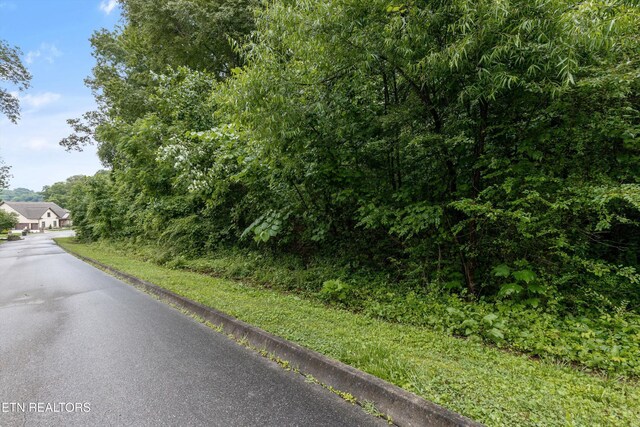404 Quiet River Ln, Loudon, TN 37774 - photo 6