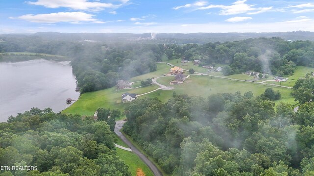404 Quiet River Ln, Loudon, TN 37774 - photo 8