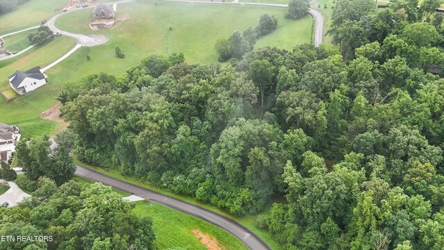 404 Quiet River Ln, Loudon, TN 37774 - photo 9