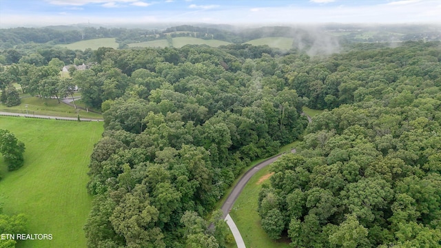404 Quiet River Ln, Loudon, TN 37774 - photo 10
