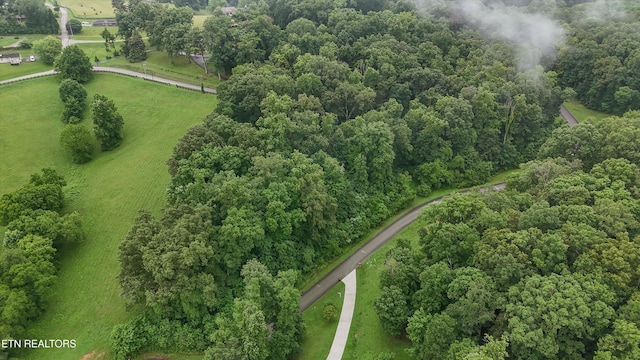 404 Quiet River Ln, Loudon, TN 37774 - photo 11