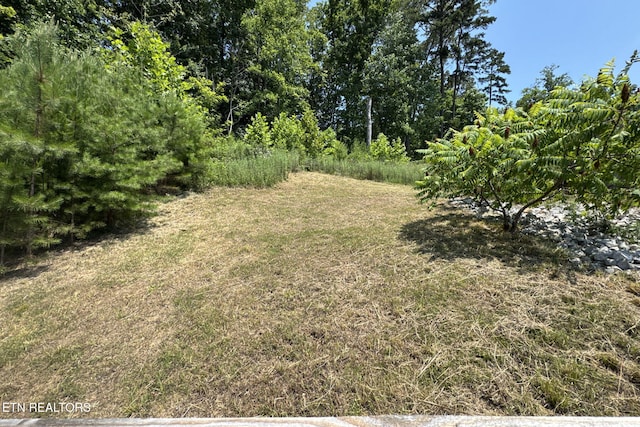 5490 Calvert Ln, Knoxville, TN 37918 - photo 33