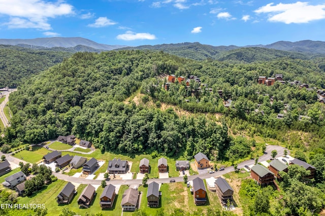 3133 Cherokee Valley Dr, Sevierville, TN 37862 - photo 39