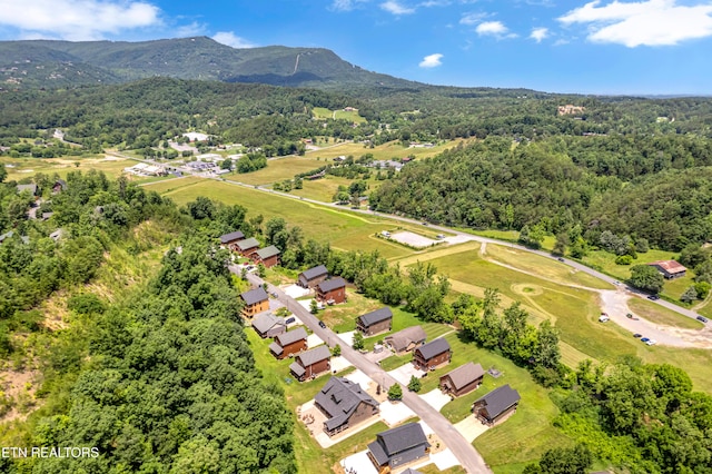 3133 Cherokee Valley Dr, Sevierville, TN 37862 - photo 40