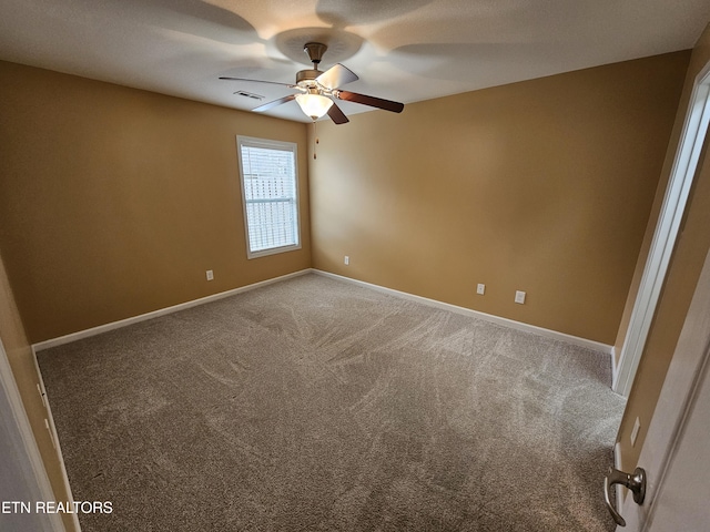 5012 White Petal Way, Knoxville, TN 37912 - photo 10