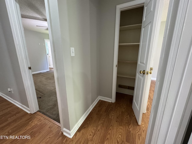 1014 Everett Ave, Maryville, TN 37804 - photo 18