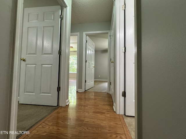1014 Everett Ave, Maryville, TN 37804 - photo 14
