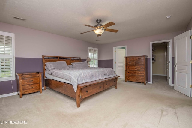 1223 Walnut Branch Ln, Knoxville, TN 37922 - bedroom with light carpet, a walk in closet, ceiling fan, and a closet