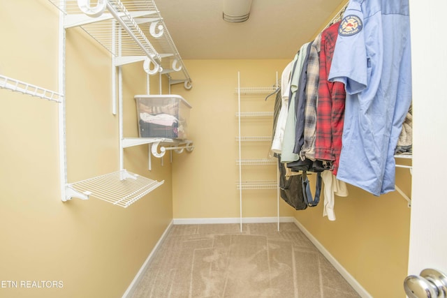 1223 Walnut Branch Ln, Knoxville, TN 37922 - spacious closet with carpet flooring