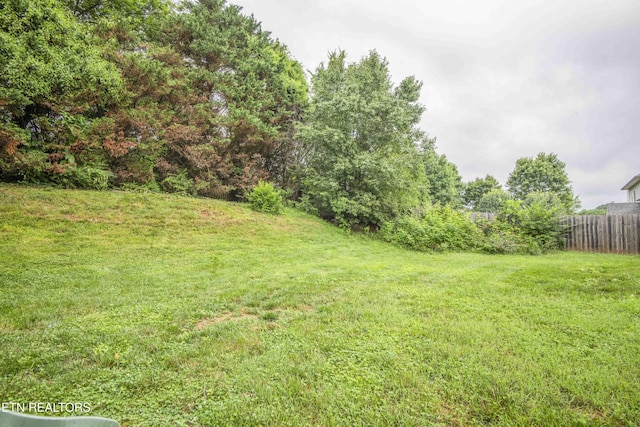 1223 Walnut Branch Ln, Knoxville, TN 37922 - view of yard