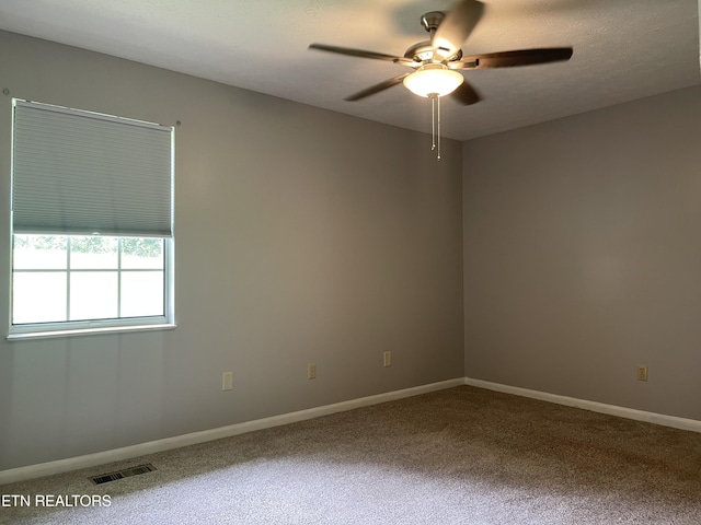 5013 Laurel Woods Dr, Knoxville, TN 37921 - photo 17