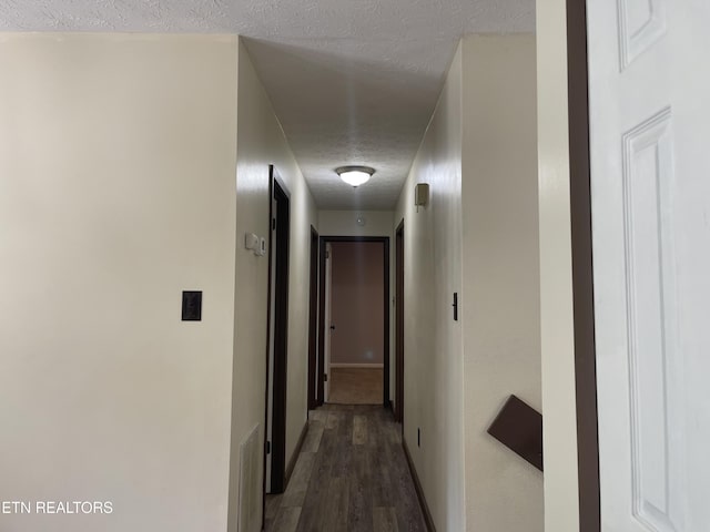5013 Laurel Woods Dr, Knoxville, TN 37921 - photo 14