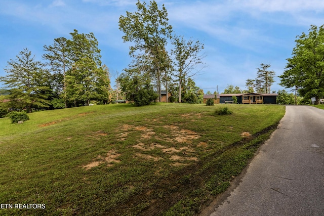 210 Conifer Rd, Winfield, TN 37892 - view of green lawn featuring driveway