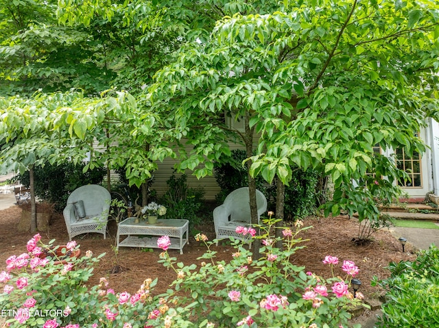5005 Silva Dr, Knoxville, TN 37914 - photo 7