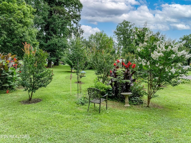 5005 Silva Dr, Knoxville, TN 37914 - photo 6