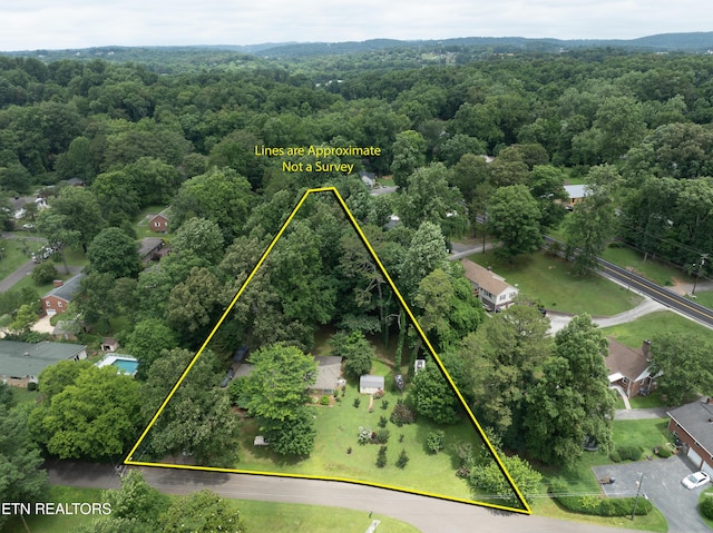 5005 Silva Dr, Knoxville, TN 37914 - photo 3