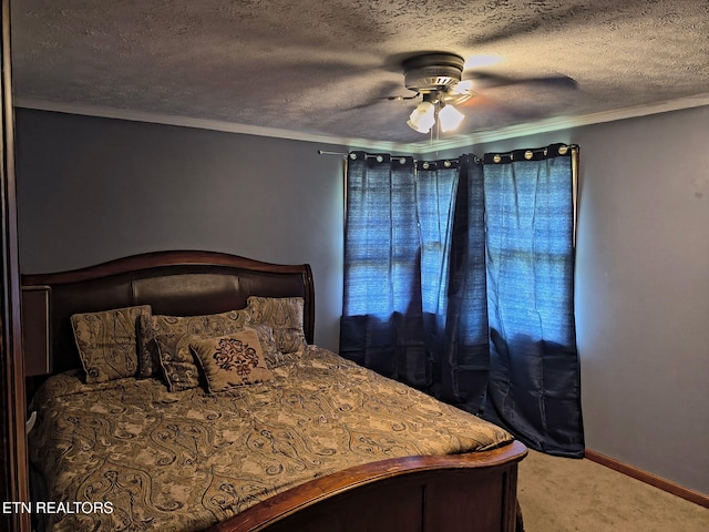 5005 Silva Dr, Knoxville, TN 37914 - photo 24