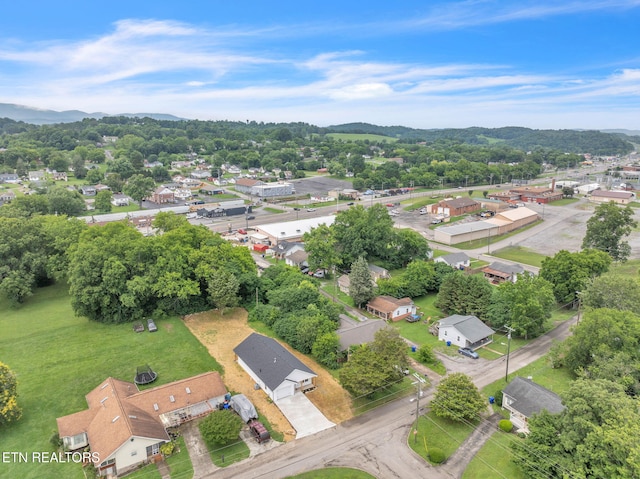 814 Hendrickson St, Clinton, TN 37716 - photo 3