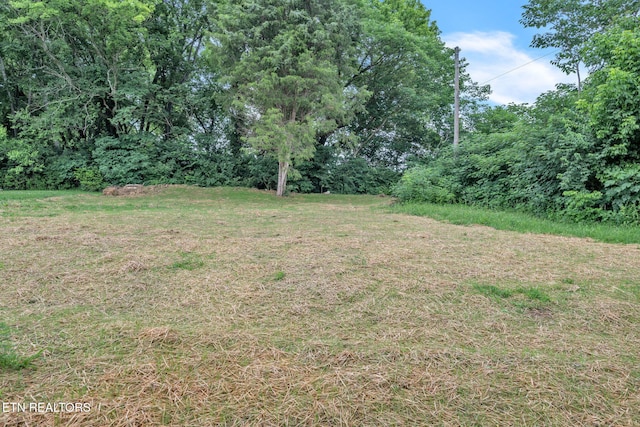 814 Hendrickson St, Clinton, TN 37716 - photo 23