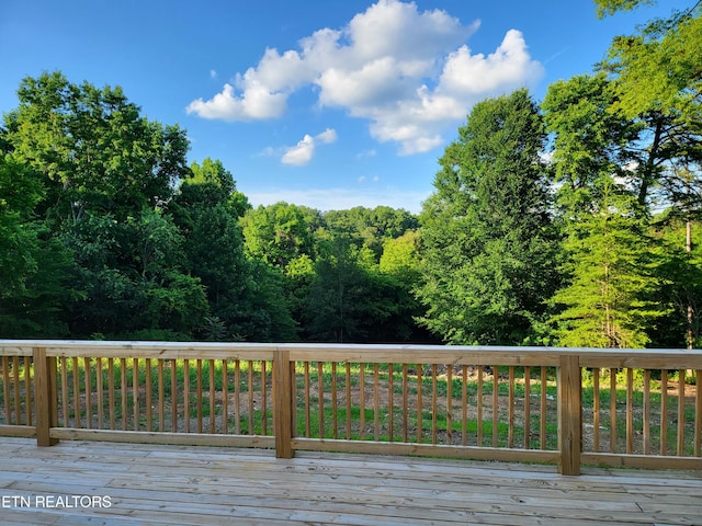 2640 Bakertown Rd, Knoxville, TN 37931 - photo 25