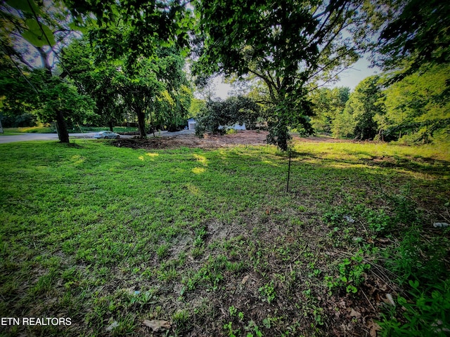 2640 Bakertown Rd, Knoxville, TN 37931 - photo 30