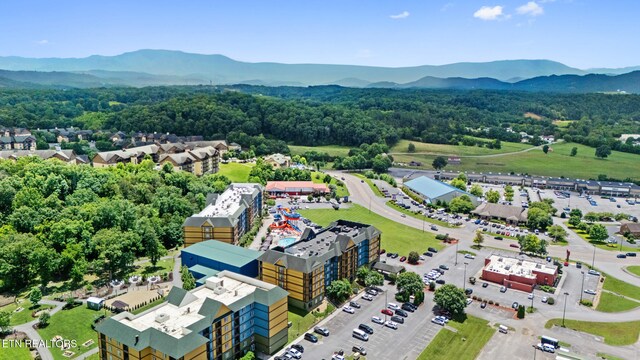 225 Collier Dr Unit 2111, Sevierville, TN 37862 - photo 23