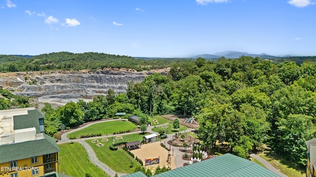 225 Collier Dr Unit 2514, Sevierville, TN 37862