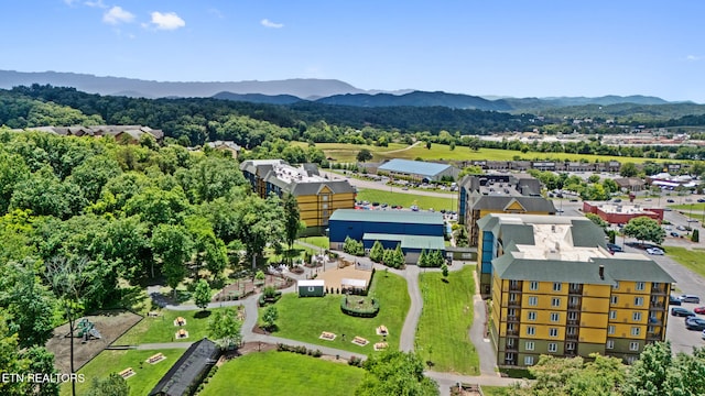 225 Collier Dr Unit 2514, Sevierville, TN 37862