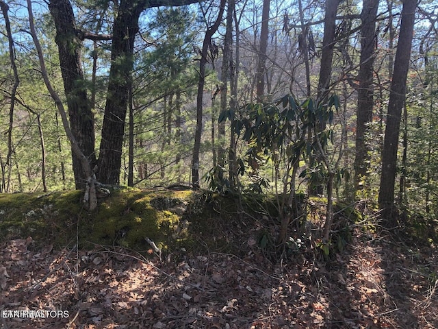 54 Magnolia Pl, Sevierville, TN 37876