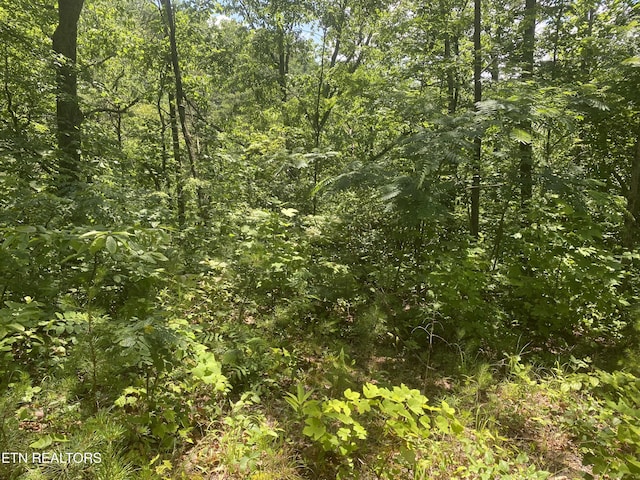 54 Magnolia Pl, Sevierville, TN 37876