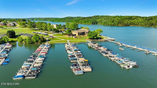 136 Oostagala Dr, Loudon, TN 37774 - drone / aerial view of a large body of water
