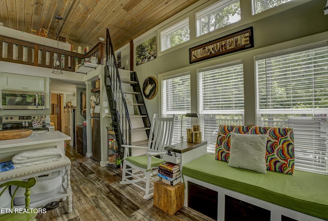 1429 Alpine Dr, Sevierville, TN 37876 - interior space featuring wood ceiling and dark wood-type flooring
