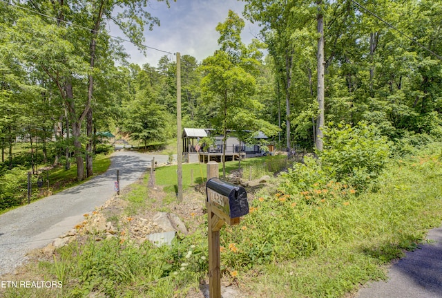 1429 Alpine Dr, Sevierville, TN 37876 - view of road
