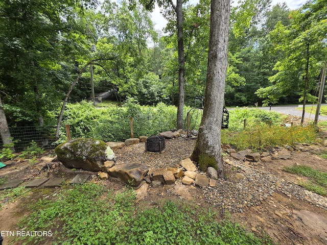 1429 Alpine Dr, Sevierville, TN 37876 - view of yard