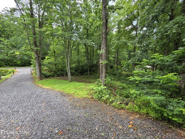 1429 Alpine Dr, Sevierville, TN 37876 - view of street featuring a wooded view