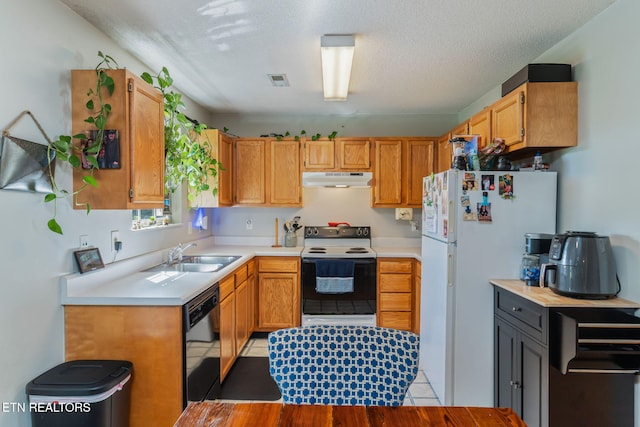 7527 Wheatmeadow Rd, Corryton, TN 37721 - kitchen featuring white appliances, light countertops, under cabinet range hood, and light wood-type flooring