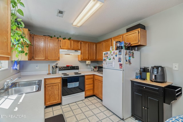 7527 Wheatmeadow Rd, Corryton, TN 37721 - kitchen with white appliances, under cabinet range hood, light countertops, and brown cabinets