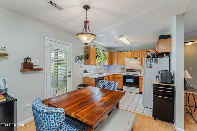 7527 Wheatmeadow Rd, Corryton, TN 37721 - kitchen featuring white appliances, under cabinet range hood, light countertops, light wood-style flooring, and hanging light fixtures