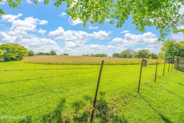 7527 Wheatmeadow Rd, Corryton, TN 37721 - view of yard with a rural view