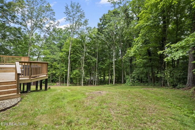 4009 Ingram Ln, Knoxville, TN 37938 - photo 37