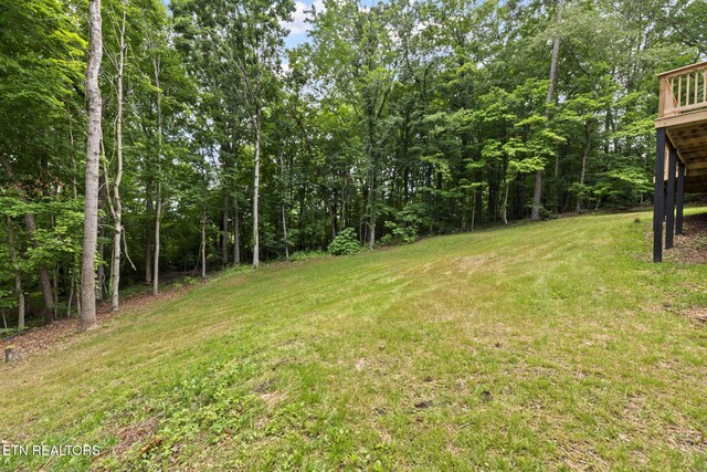 4009 Ingram Ln, Knoxville, TN 37938 - photo 39