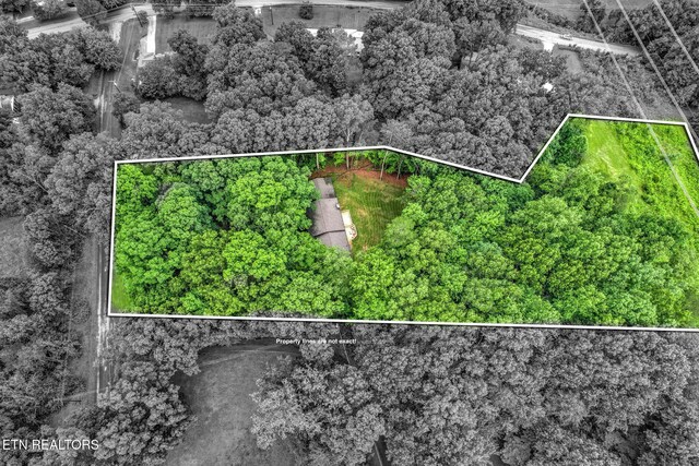 4009 Ingram Ln, Knoxville, TN 37938 - photo 40