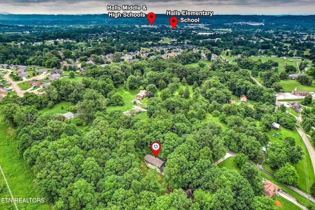 4009 Ingram Ln, Knoxville, TN 37938 - photo 44