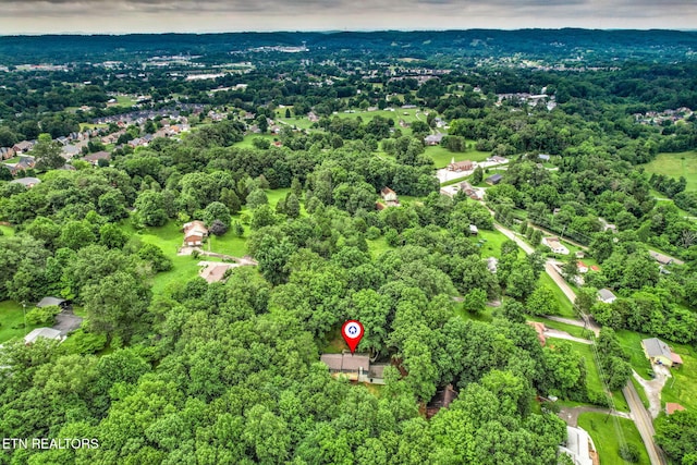 4009 Ingram Ln, Knoxville, TN 37938 - photo 45