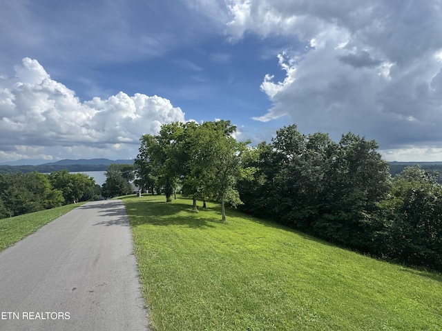 Ivy Way, Newport, TN 37821 - photo 2