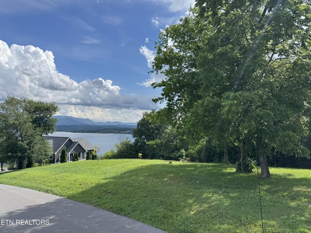 Ivy Way, Newport, TN 37821 - photo 5