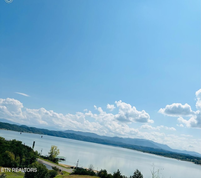Ivy Way, Newport, TN 37821 - photo 6